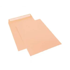 Moderno SAM 250 BOLSAS USO GRAL. 100G 229X324 CELULOSA - SB/C4