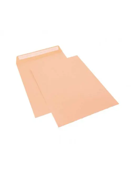 Moderno SAM 250 BOLSAS USO GRAL. 100G 229X324 CELULOSA - SB/C4